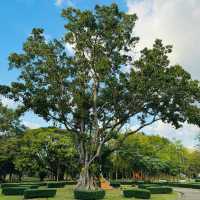 拉瑪公園：自然風光，呼吸清新空氣