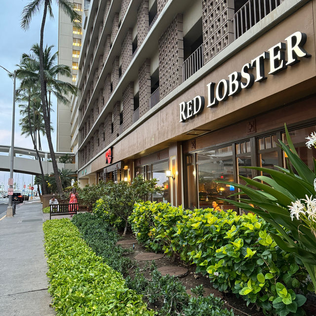 미국 하와이 레스토랑 레드랍스터 red lobster