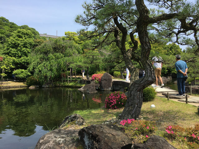 悠然漫步好古園：姬路城的靜謐之美