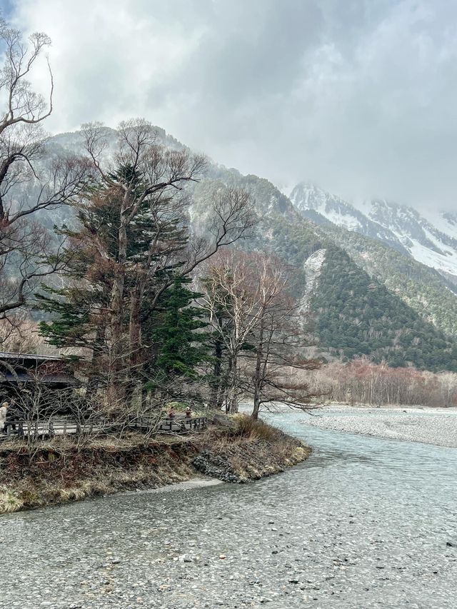 เดินเทรลในป่าสุดโรแมนติกที่ Kamikochi🌿❄️