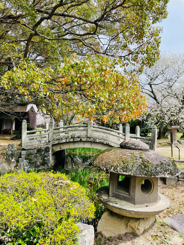 【山口県】毛利元就など歴代の藩主を祀る志都岐山神社