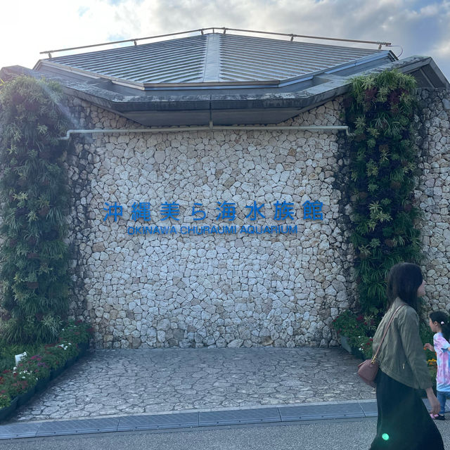 【沖縄観光】優雅に泳ぐジンベイザメが魅力の水族館