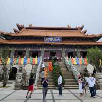 寶蓮禪寺｜參觀大佛腳下的特色殿堂