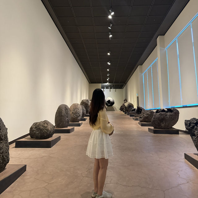 데이지 꽃밭과 하늘연못이 있어 예쁜 인생샷을 가득 남길 수 있는곳이랍니다 ✨ 