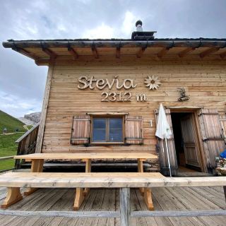 Stevia Hutte