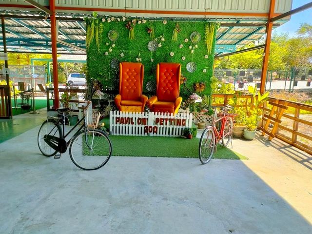 Pavilion Petting Zoo