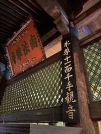 【奈良】桜の名所は新緑も美しい
