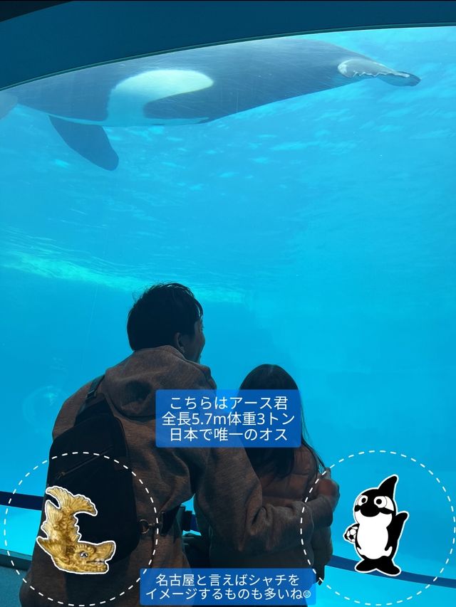 雨の日も暑い日もOK 水族館でひんやり過ごそう