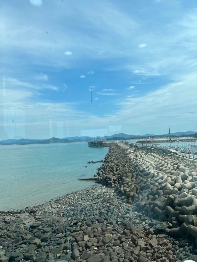 홍원항 오션뷰 맛집💙