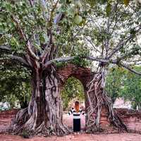 วัดพระงาม (ประตูแห่งกาลเวลา) จ.อยุธยา