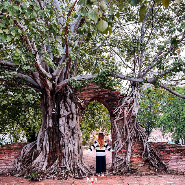 วัดพระงาม (ประตูแห่งกาลเวลา) จ.อยุธยา