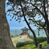 부산 해운대 가볼만한곳 송정해수욕장&죽도공원