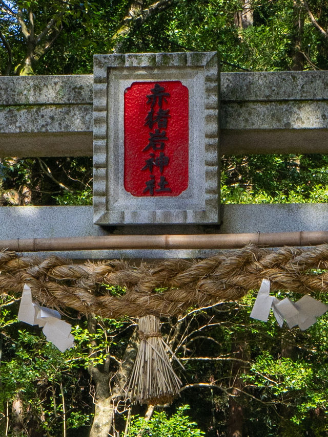 鳥取最強神社⛩再生と復活のご利益がある唯一無二の神社️🩵⛩💛赤猪岩神社復活の道