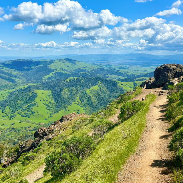 拉拉山國家森林公園：壯闊山景