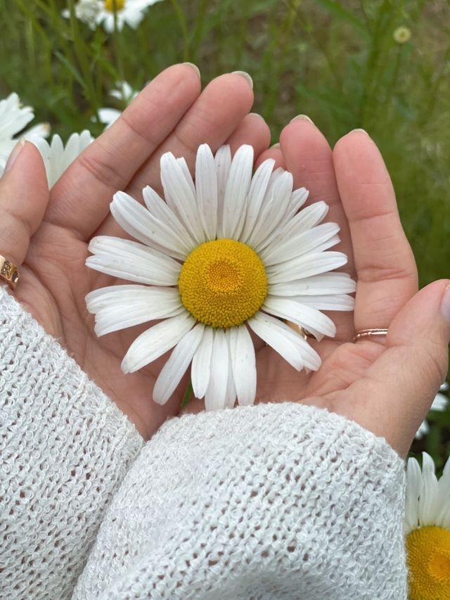 남해 다랭이마을에서 무조건 가야 하는 카페톨~