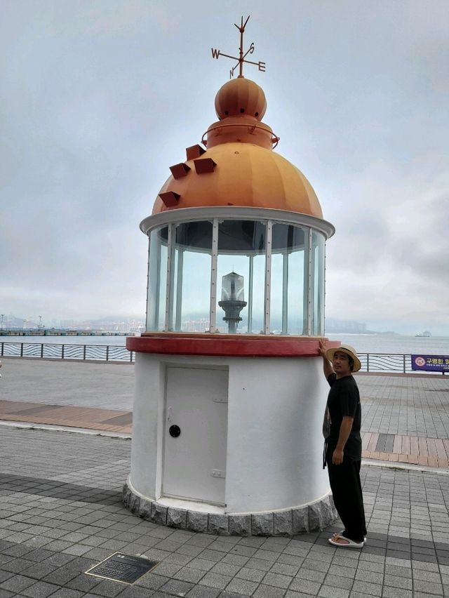 오션뷰 가득한 국립해양박물관 해양도서관