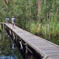 Tanjung Puting