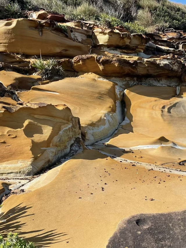 Bouddi