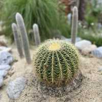 【台湾】自然豊かな花蓮🌴