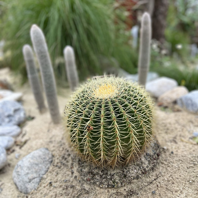 【台湾】自然豊かな花蓮🌴