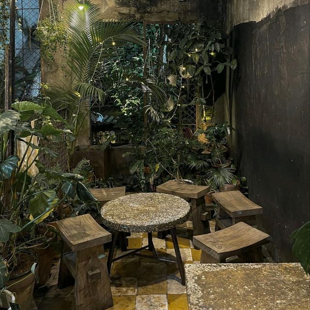 Barista Collective