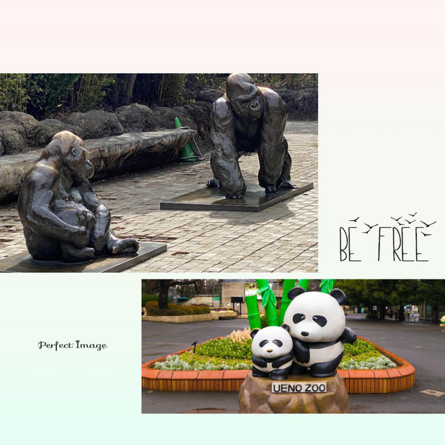 交通便利嘅動物園
