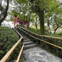 〜京都府〜一度は行こう！世界遺産平等院！10円の裏のお寺