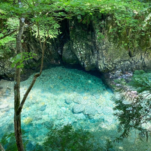 【長野】絶景エメラルドグリーンの川で川遊び