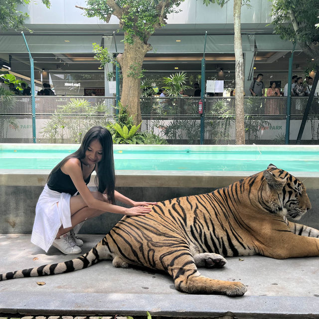น้องแนทตี้ที่ชื่อมุ้งมิ้งแต่น้องเป็นผู้ชายยยย