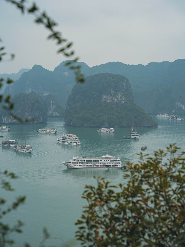 【ベトナム🇻🇳】一度は行きたいベトナムの絶景ハロン湾！