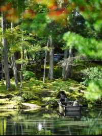 一度は行きたい京都の苔寺🌿西芳寺🌿