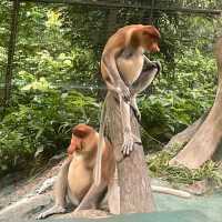【マレーシア】魅惑のリゾートコタキナバル🇲🇾