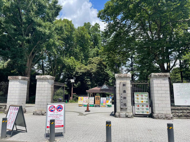 【東京】新宿御苑：櫻花季節必去景點🏖️，適合夏天遊玩🔥🔥