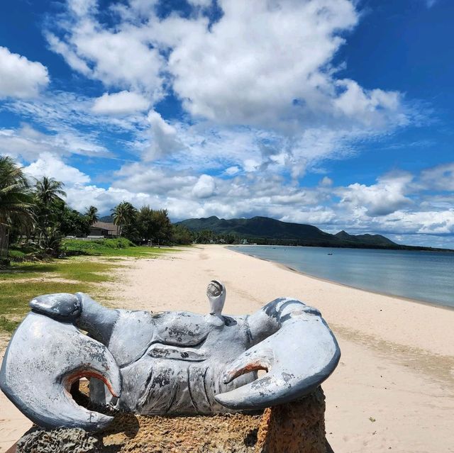 หาดสะพลี ชุมมพร