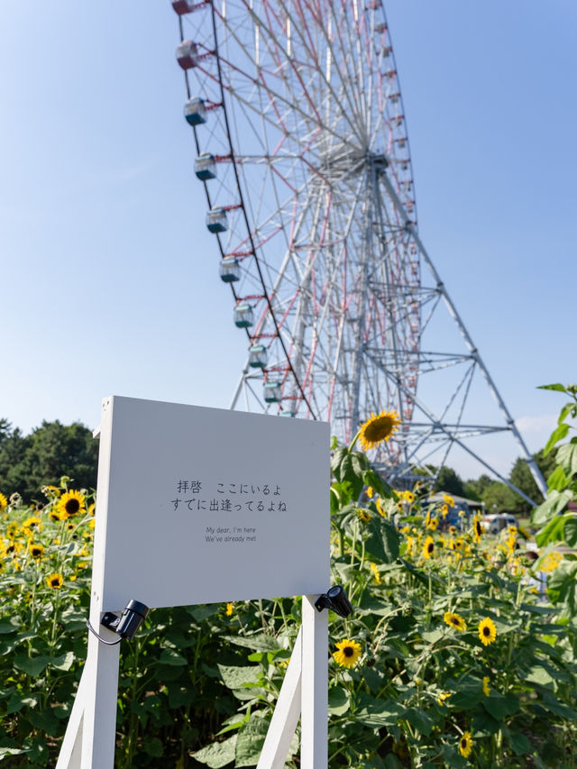 【東京都/葛西臨海公園】今だけ無料で楽しめるひまわり畑とキラキラの世界