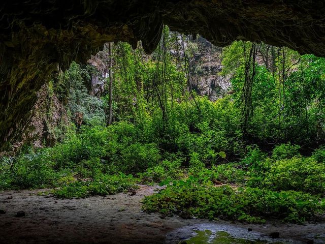 Jomblang Cave