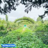 Stepping into a Living Masterpiece: Jardin de Claude Monet 🇫🇷