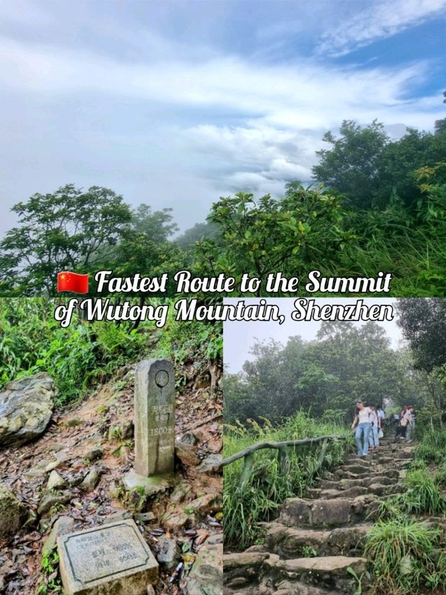 🇨🇳 Fastest Route to the Summit of Wutong Mountain, Shenzhen