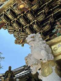 Golden Intricate Temple in Nikko