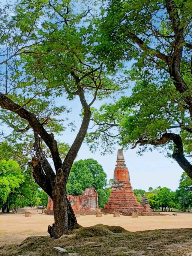 วัดมหาธาตุ จ.พระนครศรีอยุธยา