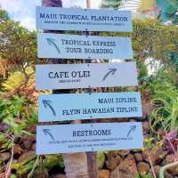 Maui, Hawaii: Paradise in the Pacific
