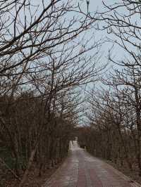 🚴‍♂️ 新竹十七公里海岸線 - 絶景と自然が楽しめるサイクリングロード*🚴‍♀️