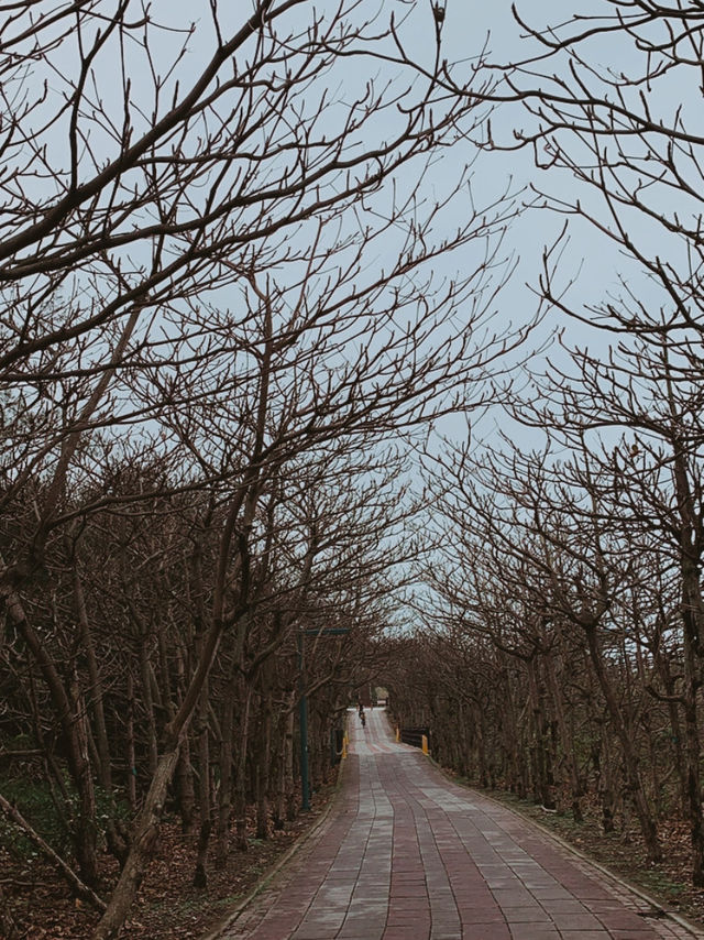 🚴‍♂️ 新竹十七公里海岸線 - 絶景と自然が楽しめるサイクリングロード*🚴‍♀️
