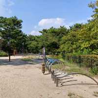 私の100の旅✨おすすめの桜並木の公園『夙川公園』🌸