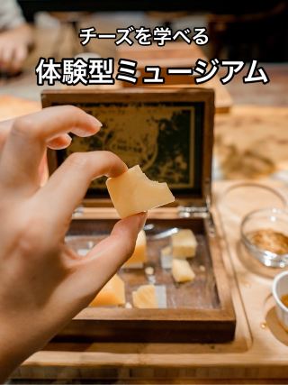 Gouda Cheese Experience