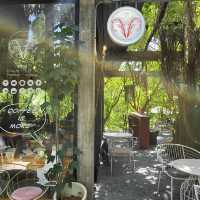 🌳ป่าก์ Cafe’ 