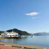 "Picton Esplanade: Enjoying Coastal Charm and Maritime Life in New Zealand"