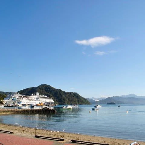 "Picton Esplanade: Enjoying Coastal Charm and Maritime Life in New Zealand"