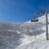 🏂❄️⛷️新雪谷滑雪場🎠冬季運動愛好者的天堂🏂❄️⛷️