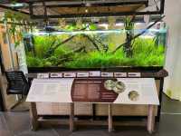 Bornean Sun Bear Conservation Centre (BSBCC)